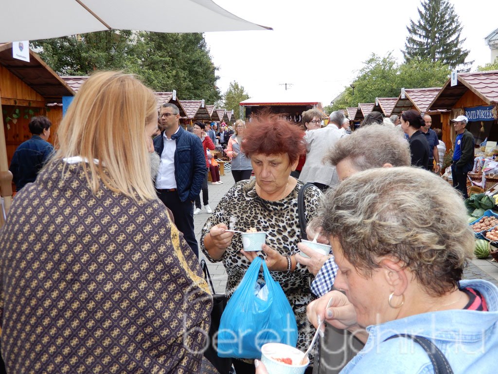 Helyi Értékek Startja 45